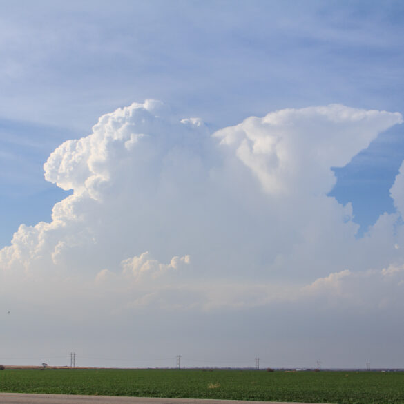 Storm Towers