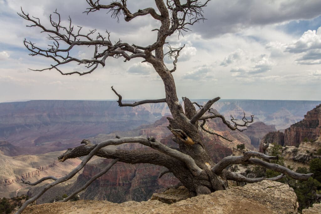 Grand Canyon North Rim