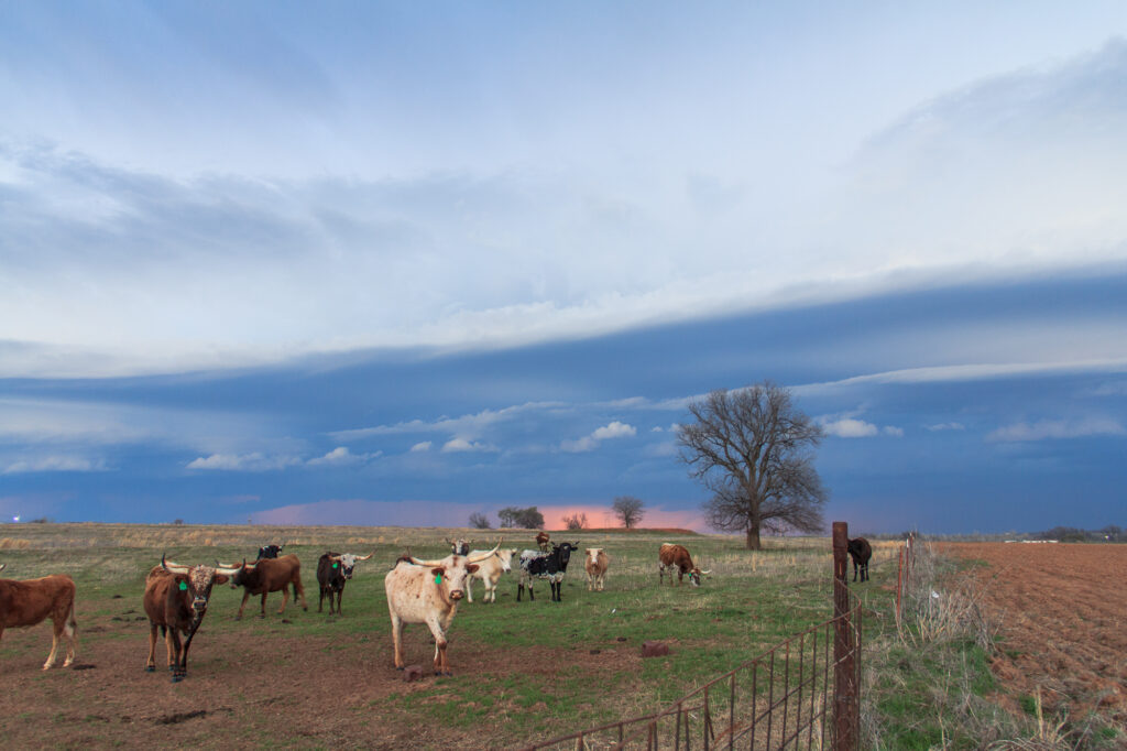 Oklahoma Shelf Cloud