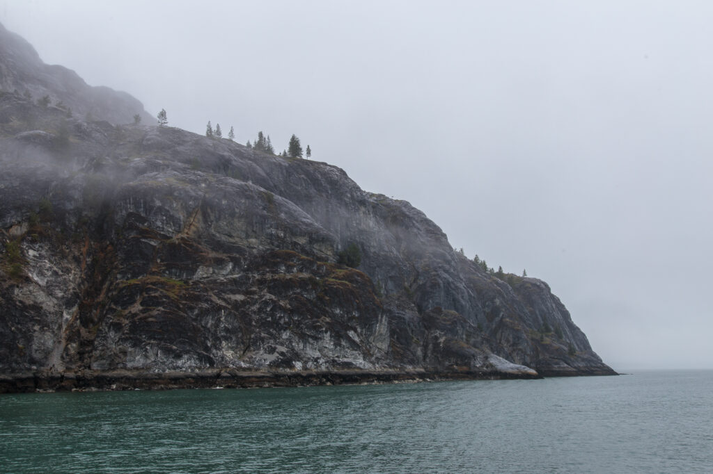 Foggy Point