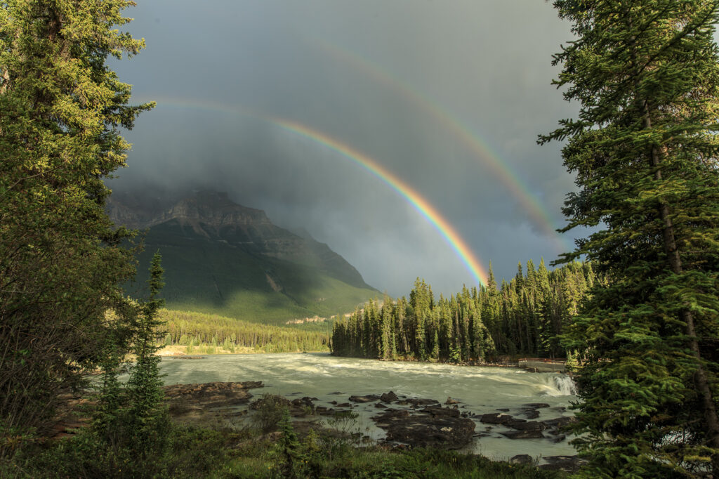 Jasper Rainbow