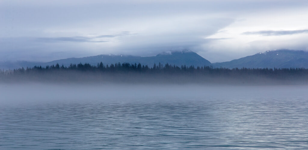 Morning in Glacier Bay National Park