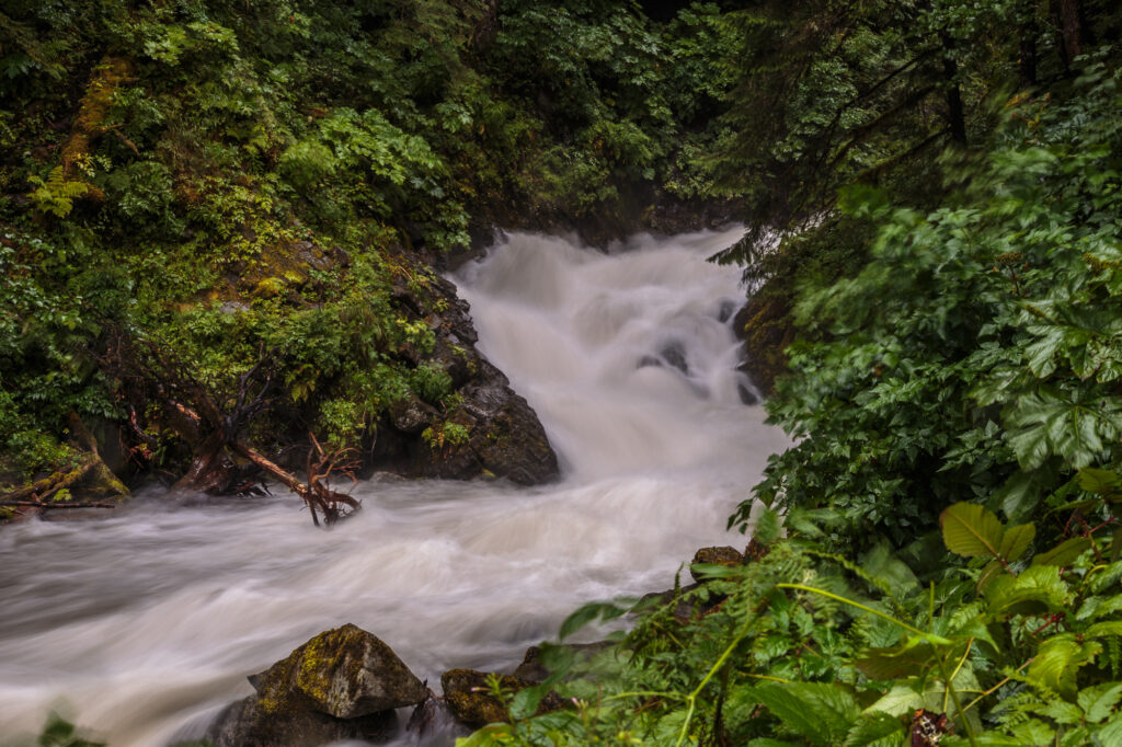 Sheep Creek