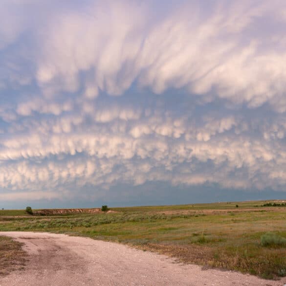 Mammatus at Sunset in the Texas Panhandle