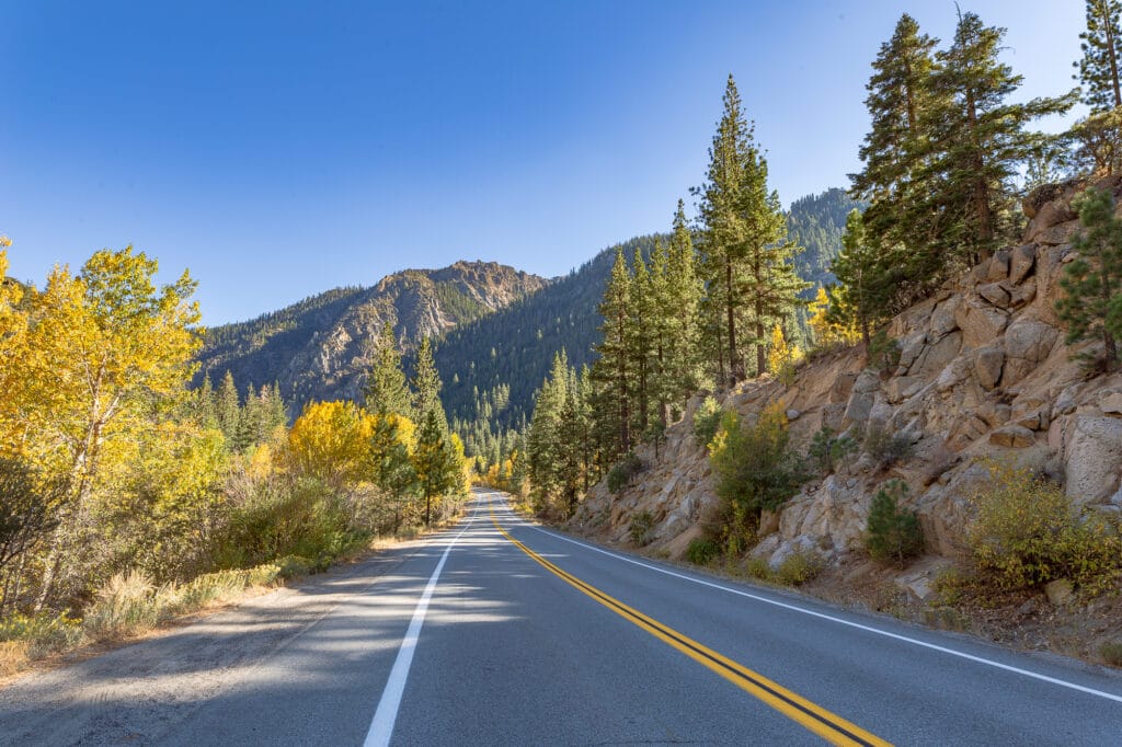 Fall colors were strong in this area of Yosemite National Park