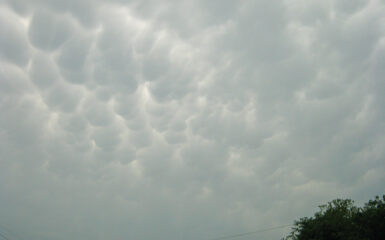 Mammatus