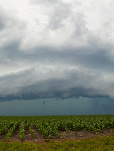 Nebraska Shelf Cloud