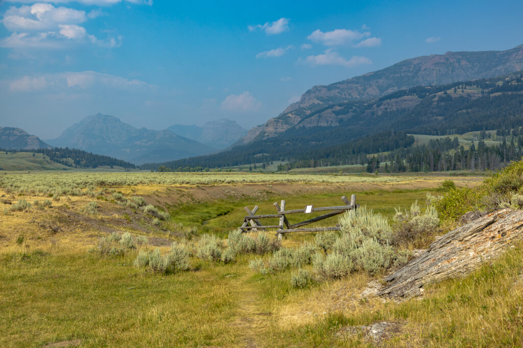 Soda Butte Valley