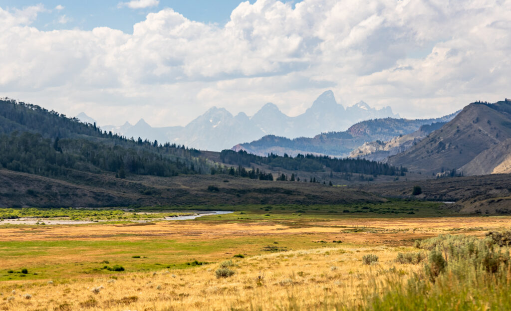 Yellowjacket Creek